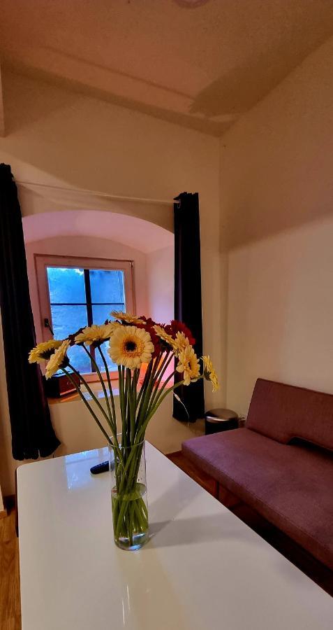 Konselsky Senk Domazlice Hotell Exteriör bild